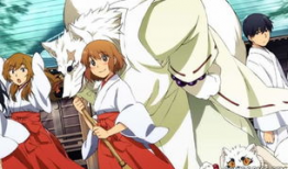 银狐动漫,奇幻世界中的银色传奇